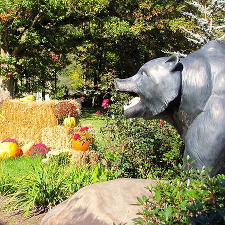 Brookside Lodge Gatlinburg Bagian luar foto